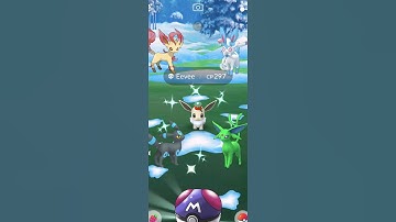Getting Lucky With ✨Shiny Custom Eeveelution in #pokemongo