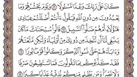 سورة الفرقان الشيخ ياسر الدوسري صفحة ٣٦١