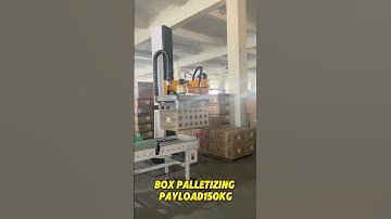 Box Palletizing,payload 150Kg!😉 #palletizer #palletizingrobot #roboticpalletizer #palletizing