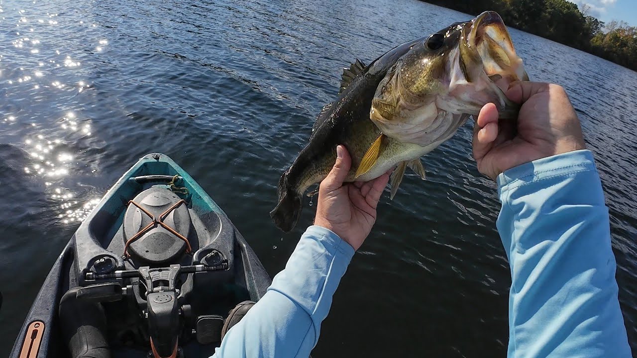 Fall bass fishing in Michigan!  #fyp #bassfishing #fishing #puremichigan #mattiegtv