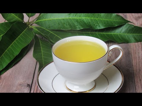 Mango Leaf Tea And The Health