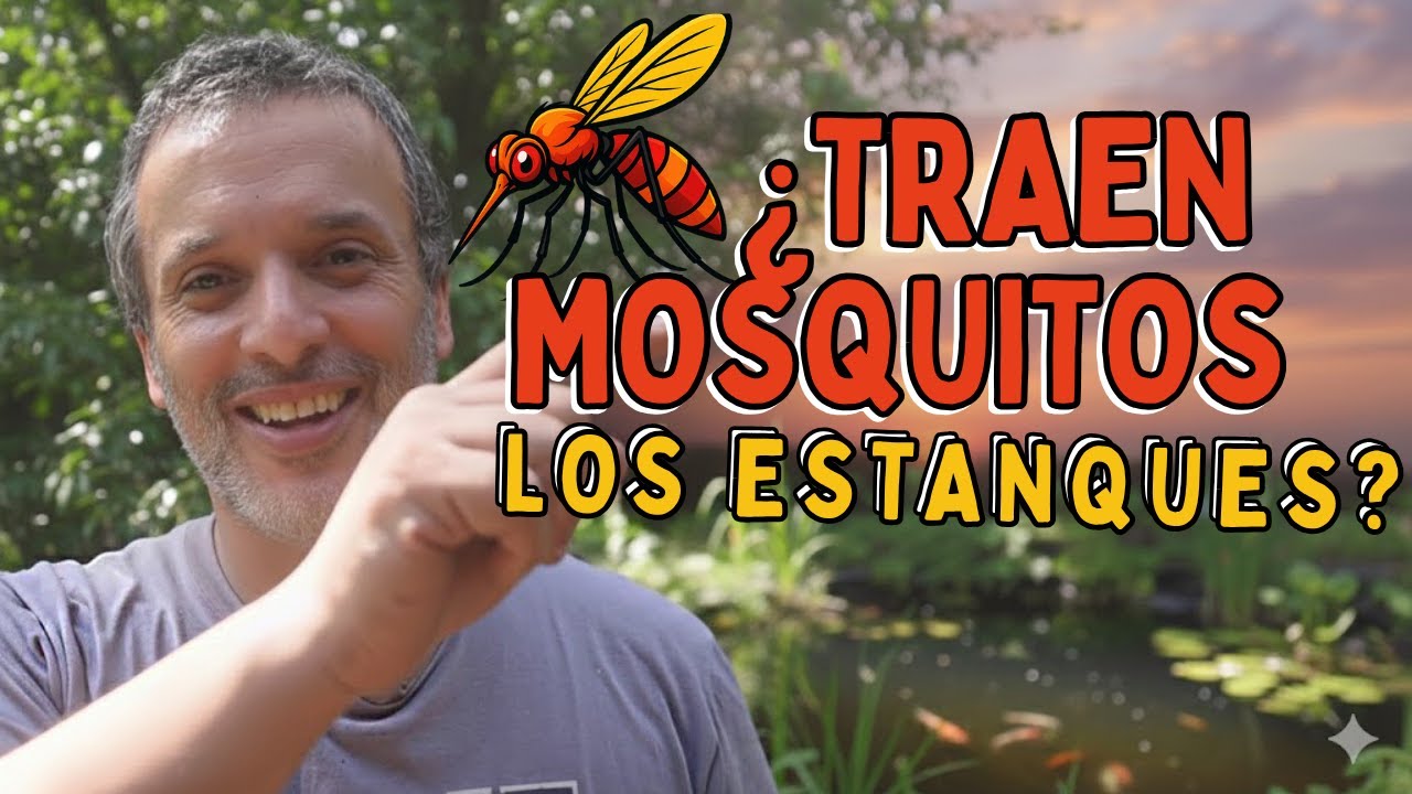 ¿LOS ESTANQUES TRAEN MOSQUITOS?
