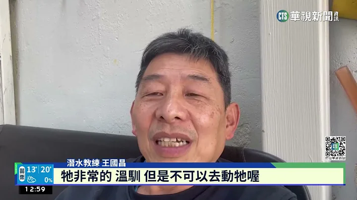劇毒無用武之地！　海蛇上岸大戰野貓落下風｜華視新聞 20230304 - 天天要聞