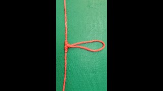 Tknot loop best fishing knot for leash connection points on the fishing line  how to tie tutorial