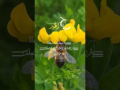 صباح الخير ربنا اسالك صباحا لطيفا دعاء الصباح المستجاب اشتراك بالقناة