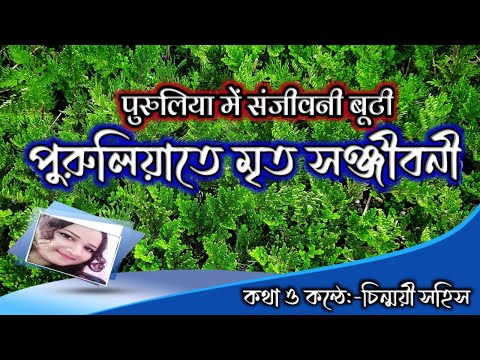 ভিডিও: মায়ের সুখ - স্কুলে বাচ্চারা থাকত: নতুন স্কুল বছরের শুরু সম্পর্কে কার্টুন