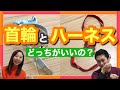 【首輪とハーネス】どっちがいいの？散歩に必須な首輪とハーネス（胴輪）についてトレーナーと獣医師が解説