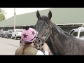 WagerTalk TV: Sports Picks and Betting Tips - YouTube