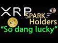 Flare bringing Dogecoin due to Unlocking More Decentralized Value, XRP Spark Holders Celebrate