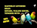 Masteran Lovebird isian Kenari, Walang Kecek, Tengkek Buto