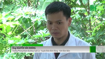 Nỗi ám ảnh mang tên “lá ngón” ở vùng cao | VTC14