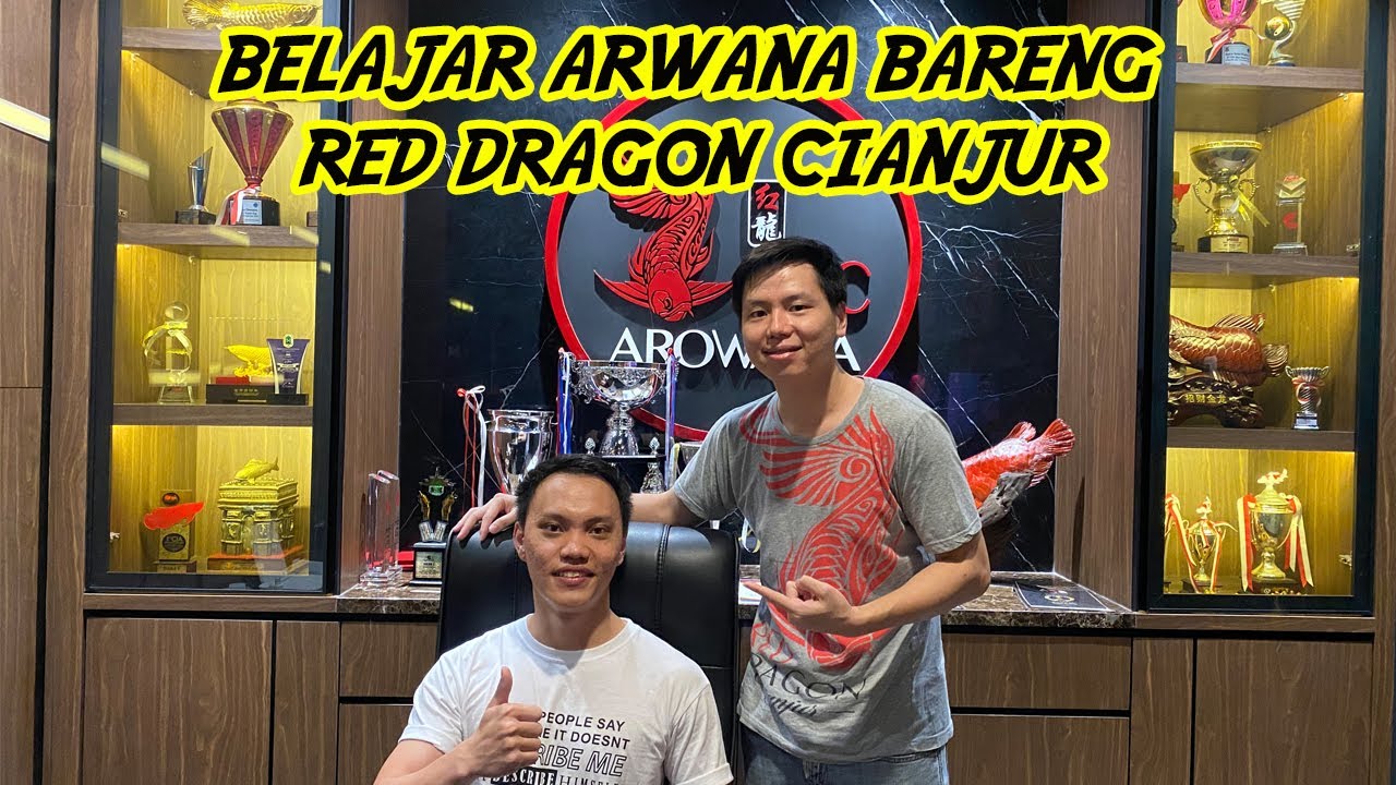 Rahasia Merahin Arwana Super Red Dari Master Red Dragon Cianjur Youtube