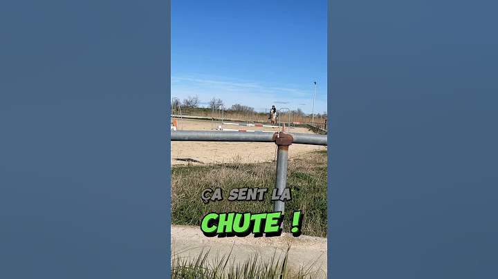 Personne n’a été maltraité ni blessé pendant le tournage