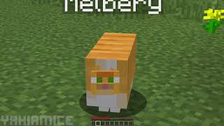 i made a resource pack that makes minecraft cats obese