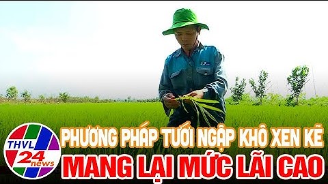 Mức lãi thu được cao nhất 3 triệu đồng/công lúa khi áp dụng kỹ thuật tưới khô xen kẽ