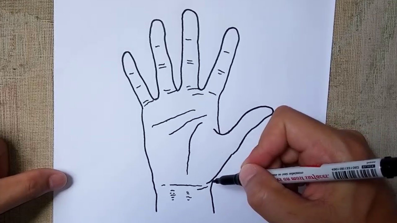 Featured image of post How To Draw Open Hands Step By Step When drawing old hands we focus on thinner hands and lots of wrinkles baby hands are almost the opposite