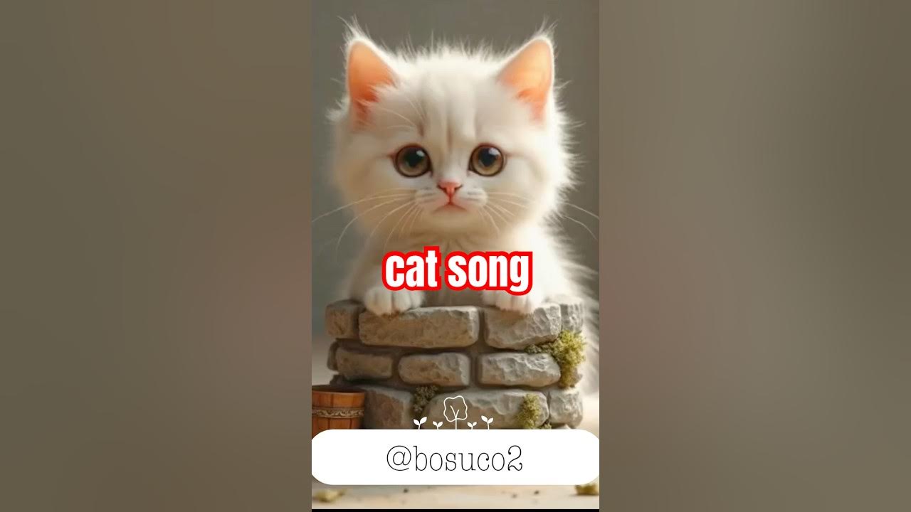 π±π€#song #shorts #singing #cat #funny #trending #trendingshorts π±π€#song #shorts #singing #cat #funny #trending #trendingshorts