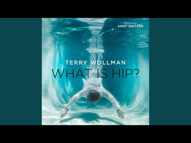 Terry Wollman - What Is Hip feat Andy Snitzer