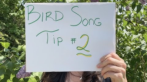 Learning Bird Song - Tip #2