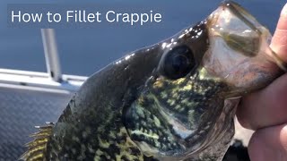 How To Fillet Crappie using the Fork Trick #pleasesubscribe #fishing #michigan