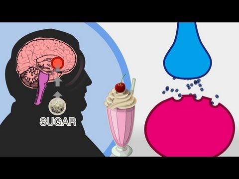 The Skinny on Obesity (Ep. 4): Sugar - A Sweet Addiction