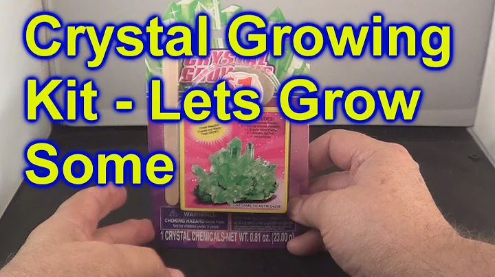 Crystal Growing Kit By CreativeKids From Dollar Tree Watch Them Grow