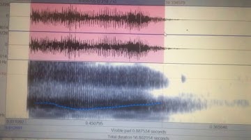 Comparing Native Speaker’s Mandarin Tones to Non-native Speaker’s Using Praat Software