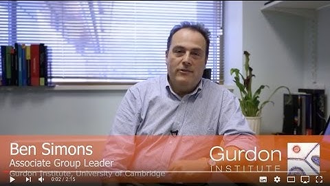 Gurdon Institute | Meet Ben Simons