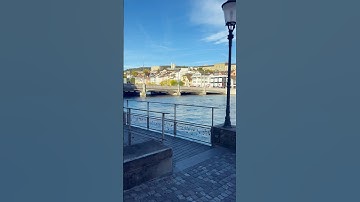 Walking Tour Zurich Switzerland 🍂 | Breathtaking Autumn Views