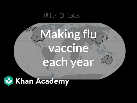 Making flu vaccine each year | Infectious diseases | Health & Medicine | Khan Academy