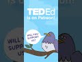 Video Tutorial Quiz