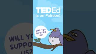 Become a patron of TED-Ed! #shorts