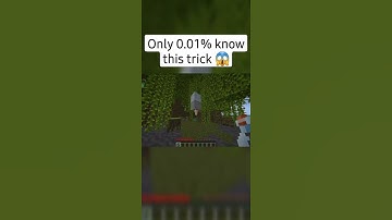 Minecraft 1.19 | Mud Block