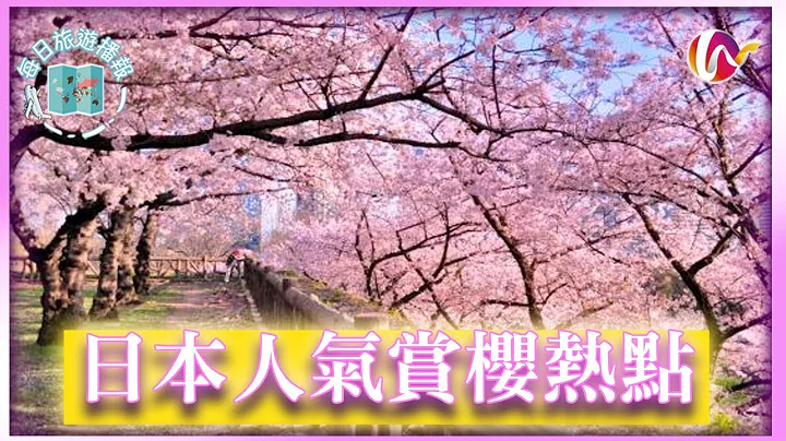 【2023日本樱花季🌸】速报人气赏樱景点推荐💡 | 疫情后第一个樱花季节 [每日旅游播报] - 天天要闻