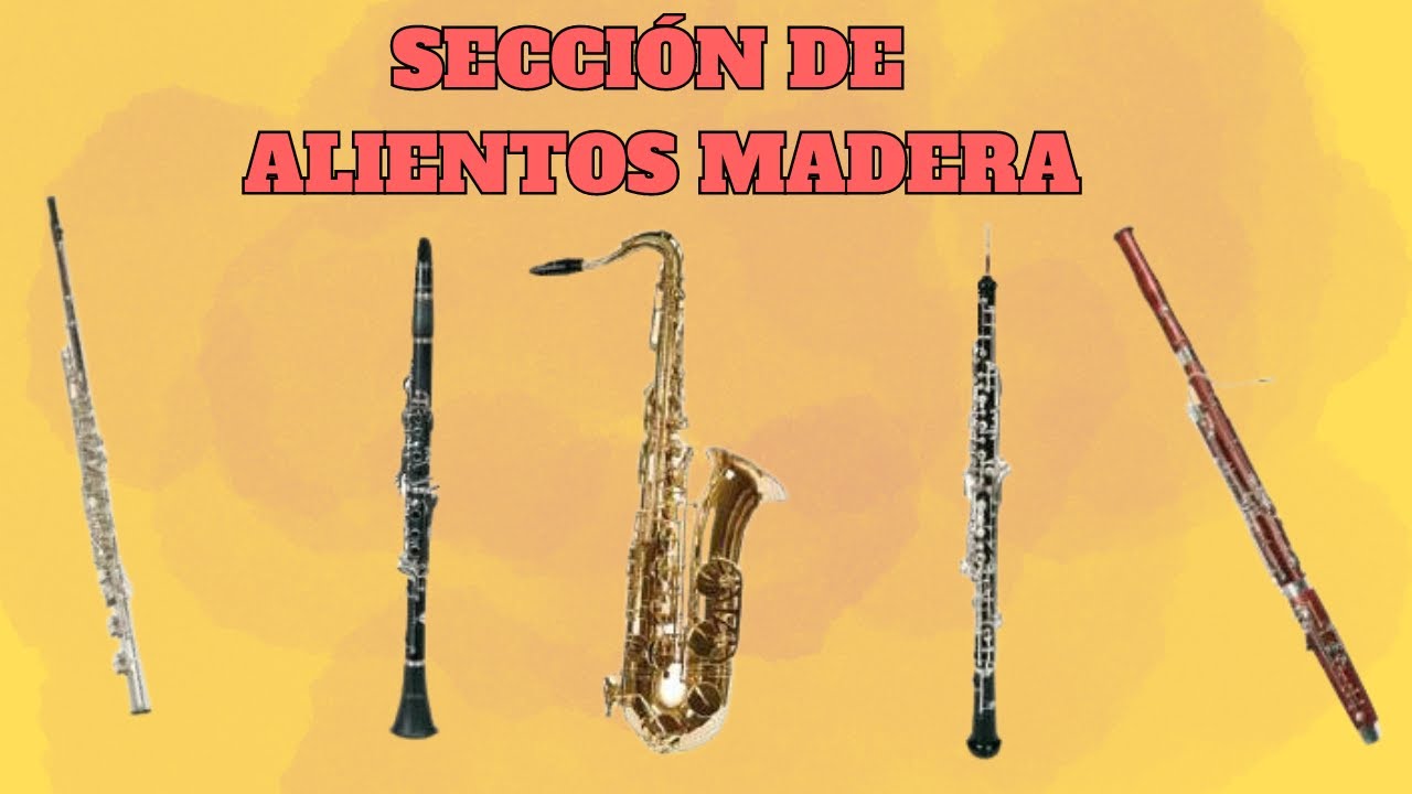 Conociendo A La Orquesta - Sección De Alientos Madera - YouTube