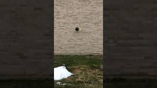 bowling ball vs tennis ball drop