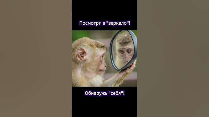 Посмотри в зеркало!