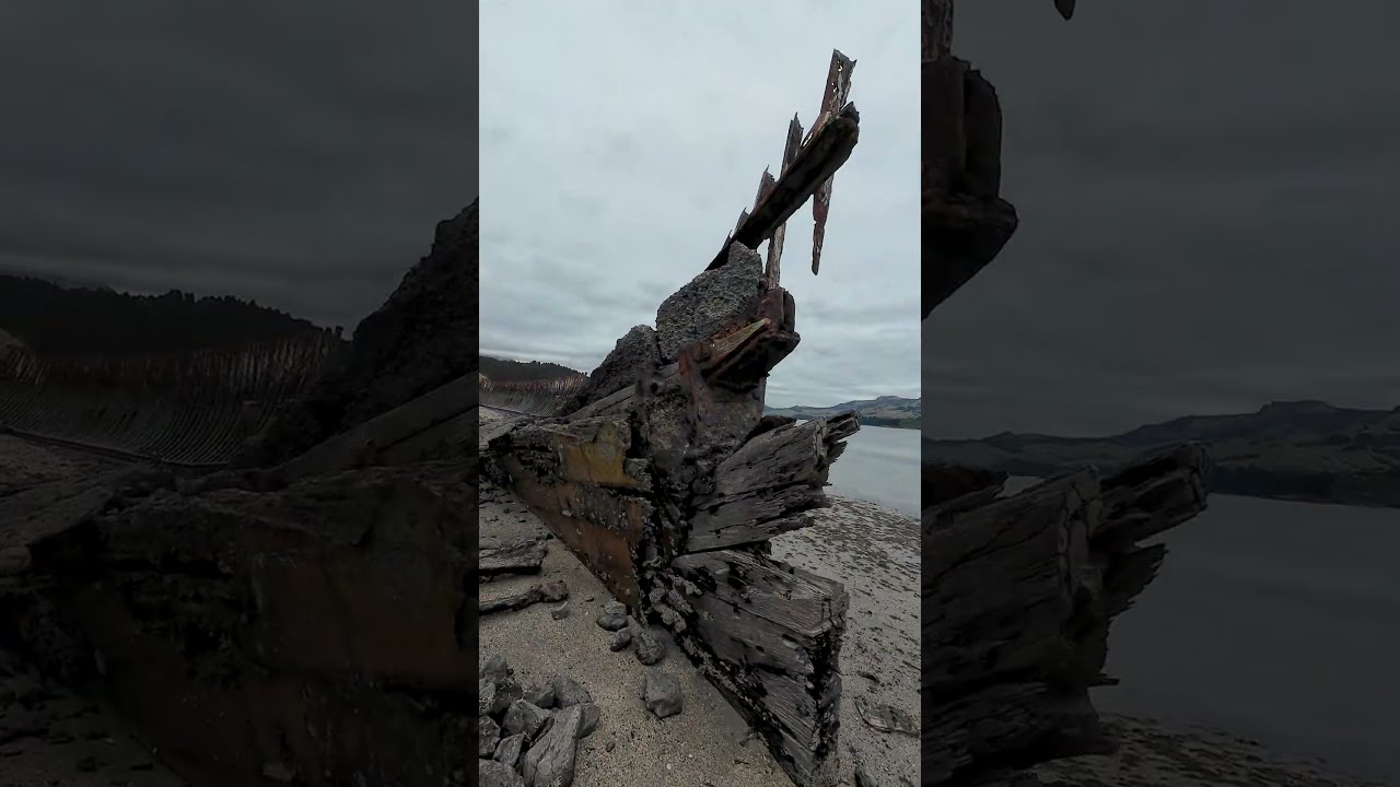 Quail Island, Ship Graveyard #quailisland #shipwreck #shipgraveyard