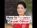  how to remove carpet odour  zubaida aapa   aasaan totkay 