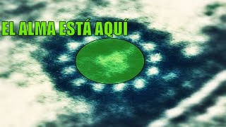 CONFIRMADO POR CIENTÍFICOS EL ALMA EXISTE | TOPVIDEO MAKER