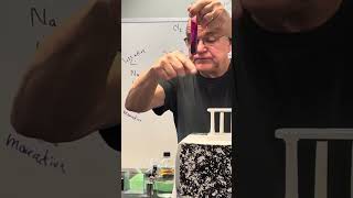 Halogen Lab part 1