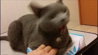 戦いの最中に気持ち悪がられて逃げられる
