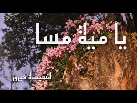 يسعد صباحك والمسا يا مية مسا يللي ما بترد المسا فيروز