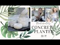 PlantedinPots: DIY concrete planters