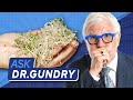 Are broccoli sprouts healthy  ask dr gundry  gundry md