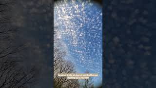 One day soon we will fly away to Glory! Jesus Christ is King!