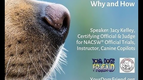 At-Home Scent Work – Why and How 4-24-22