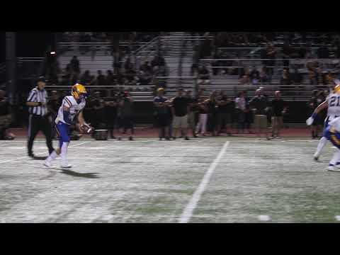 VHS 6 Tiger Punt