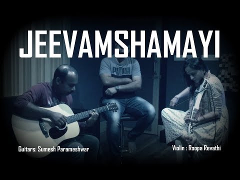 Jeevamshamayi | Theevandi | Instrumental | Roopa Revathi | Sumesh Parameshwar | Kailas Menon