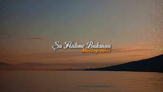 Montegroelvis - Şu Halime Baksana 